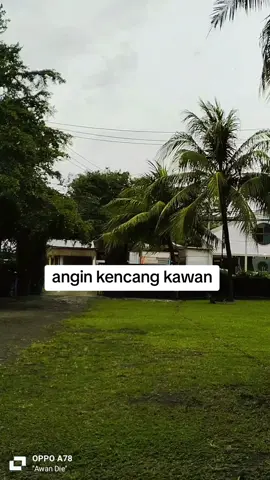 #lomboktiktok #kerja 