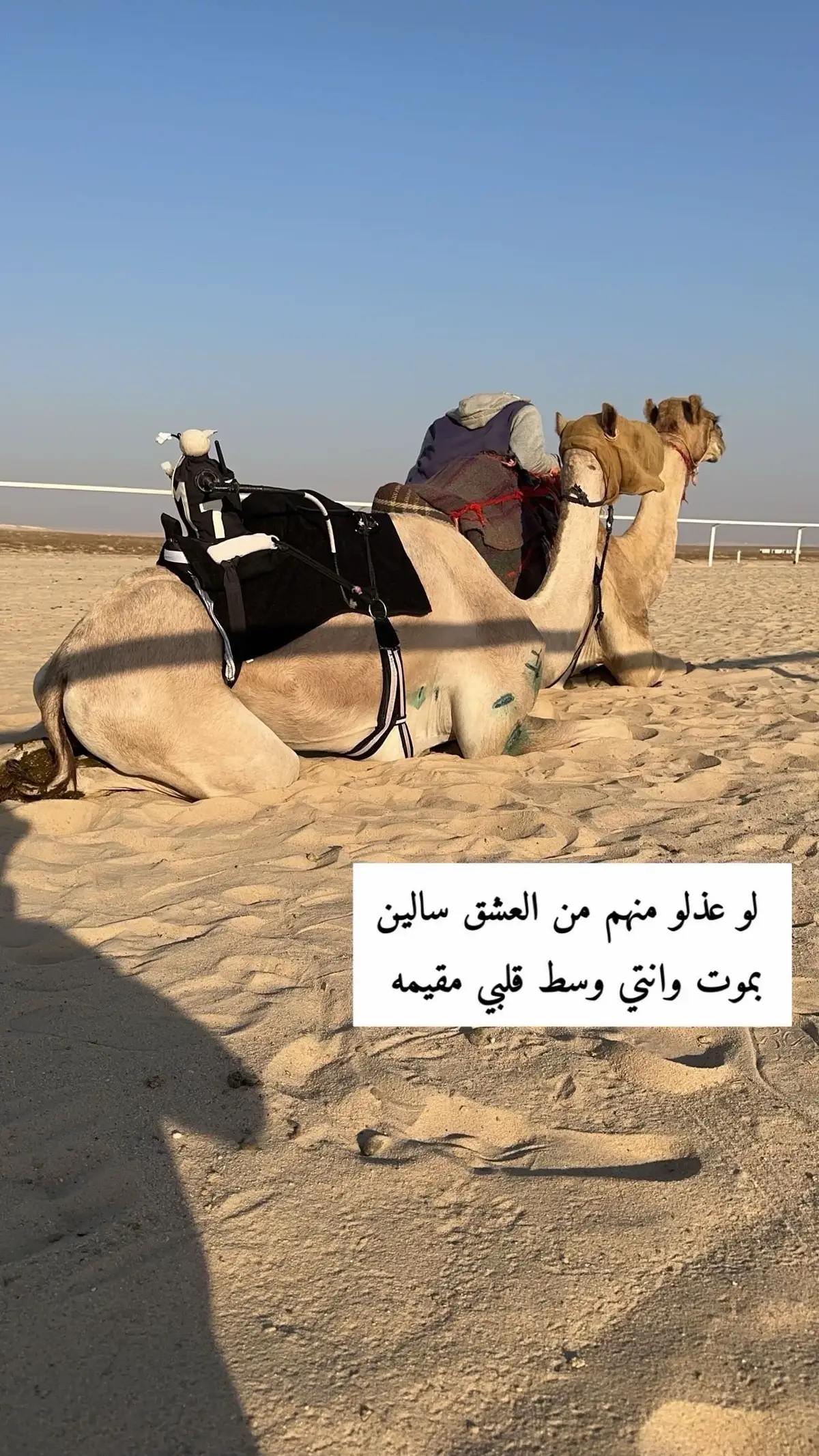 اذكر الله ♡  #CapCut #اكسبلور #اكسبلورexplore #اكسبلورر #اكسبلور_تيك_توك #الهجن #البل #احتراف #شعر #هجن_العاصفه #هجن_الرياسة #هجن_الشحانيه #الغييثات🔥الدواسر🔥 #قصيد #هجن #نجاح #الوارية_هجن_الرئاسة🔥🥇💯 