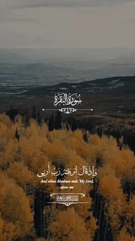 surah Al-Baqara beautiful recitation #10k #viralvideos #quran_alkarim #قران_كريم #CapCut #Tilawat 
