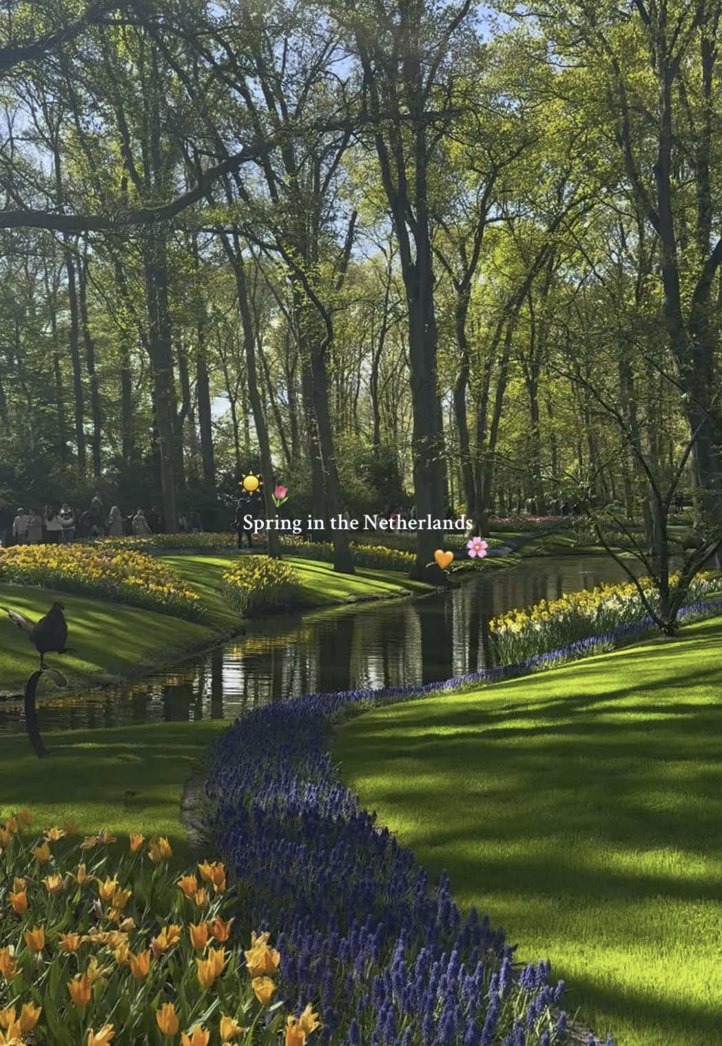 📍Keukenhof, Lisse, Netherlands #netherlands #niederlande #holland #spring #frühling #tulips #keukenhof #keukenhofgardens 