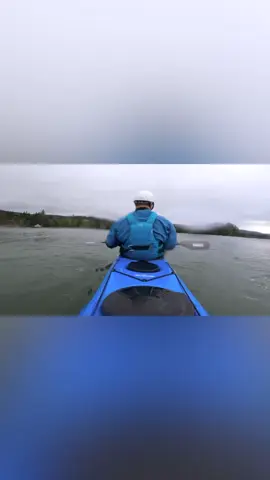Something to bring a smile to your face today 😊 🦦🦦 Sea Otter 🦦🦦 #RePost @kckayakfishing  I had been hearing stories about this sea otter at other surf beaches on Vancouver Island that was overly friendly, getting up on surf boards, sups & kayaks but it seems like now it’s visiting our local break. A while ago @kckayakfishing put up a reel of this Otter joining on his fishing session, well apparently it wanted to give kayak surfing a try. It was jumping up on the back deck, swimming and playing along side as I paddled and eventually decided to sit in my lap, on top of the spray deck. It would follow me around after the surf, while I was waiting for waves and would even try to body surf along with the kayak! An absolute magical experience Now the serious part: Sea Otters are a species at risk, and this behaviour is far from normal. Canadian law prohibits feeding and making purposeful interactions with marine mammals while maintaining 100M distances (some species have even larger distance restrictions). I was not engaging with this otter. It was following me around like a lost puppy. This otter interacted with others in my paddling group and others on SUPs & surfboards at the break and has been doing so for the last few days. I have reached out to Canada’s Department of Fisheries & Oceans (DFO) and made a report about this otter through their Marine Mammal distress contact centre as well as reaching out to friends who have senior contacts within DFO to hopefully find a resolution that finds a positive outcome for this endangered animal. The Vancouver Aquarium Marine Mammal Rescue Society has also partnered with DFO in the event that the animal needs to be rescued, rehabilitated and released. If you encounter or have had past encounters with this Sea Otter a file has been set up to track its behaviour and if necessary escalate to ensure its safety and the safety of the people it’s interacting with.