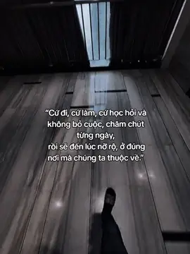 “Cứ đi, cứ làm, cứ học hỏi và không bỏ cuộc, chăm chút từng ngày, rồi sẽ đến lúc nỡ rộ, ở đúng nơi mà chúng ta thuộc về.” #hoanganh29012003 #fyp #tamtrang #soryy #abcxyz 