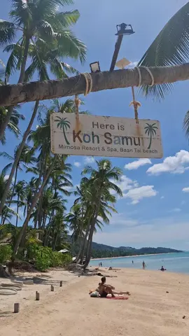 #thailand #kohsamui 