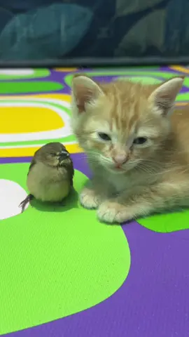 iya deh iyaa punyamuu😮‍💨