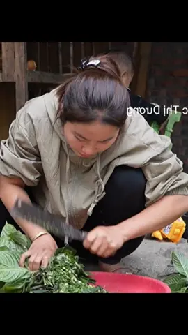 #singlemom #harvest  #farmbuilding  #dailylife  #motherandson  #Meetthegiantfish  #fishtrap  #wildfishpond  #harvesttomatoes #redtomatoes #winterfishharvest  #naturalfish  #Cookeggs #preservedfish #catchingstreamfish #keepyourbabywarm #radishharvest #Cookwithyourchildren #vegetablecare #chef #market  #eatgrilledfish #howtocatchgiantfish #cookfoodforpigs #single girl #homefishpond #giantishharvest  #Catchfishwithyourchildren #livewithnature