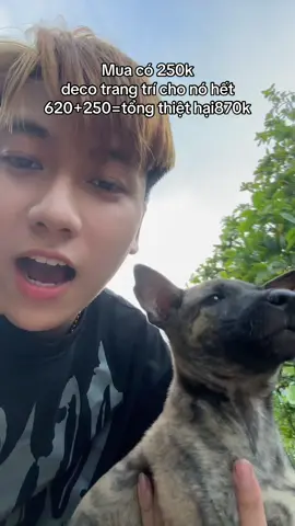 cái Chân vừa lành là tới cái miệng ăn tùm bậy , 🐕 cỏ mà tưởng 🐕 đại gia 