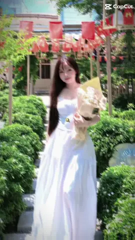Ảnh bảo: 