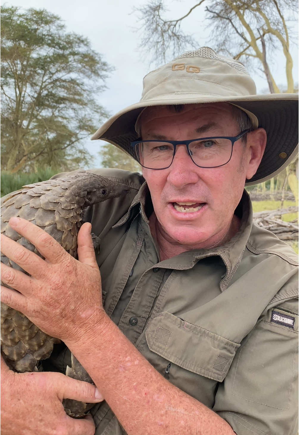 Pangolin are the most trafficed animal on the planet - I am always delighted when I get to visit a successful conservation project; like this one here in Gorongosa! 🌍🙌🏻 #pangolin #fyp #endangeredspecies #ivancarter 