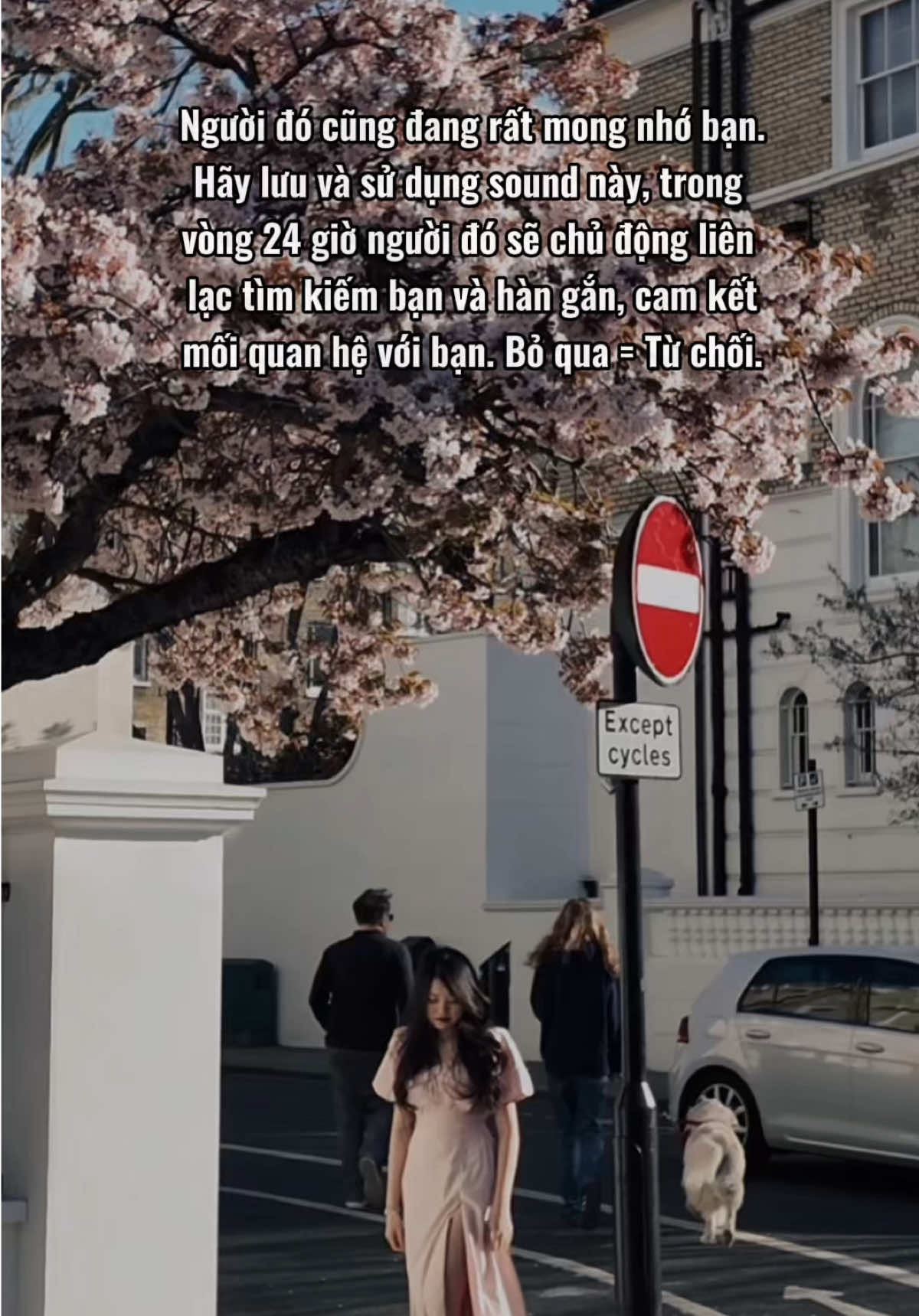 💖Lưu và sử dụng sound để manifest người đó quay lại nhé💖 #lawofattraction #lawofassumption #lawofvibration #manifest #manifestation #affirmation #affirmations #fyp #xh #tarot #tarotreader #spell #lovespell #spellcaster #whitemagic #selflove #gemstone #tarotbylys 