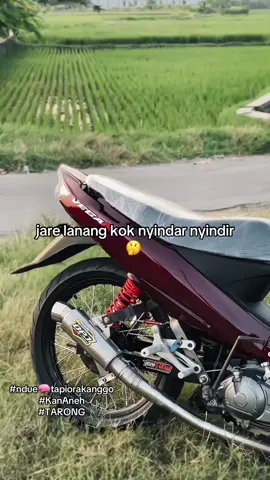 wes BU tenan pie 😫 #mendadak5tp #5tpmenolakpunah #5tpsolostyle #5tprasepele 