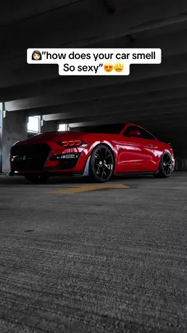 Spoiler alert it’s blackline  #mustanggt #fyp #carpeople #v8power #virallilll #mustang #v8 #cars #cartok #fy #10speedmustang #viral #virall #mustanggt350 #paratii 