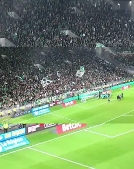 Et si un jour je meurt à Gerland !!!!💚 #ambiance #asse #saintetienne #tifos #ga92 #mf91 #pourtoi #fyp #fy #prt #42 