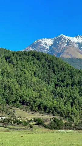 Beautiful Mountain view from Dhorpatan 📍 #mountain #nepal #beautiful #scenery #nature #travel #fyp #foryou #dhorpatan