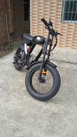 ebike 