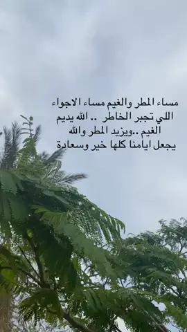 مساء الخير والمطر 🌨️