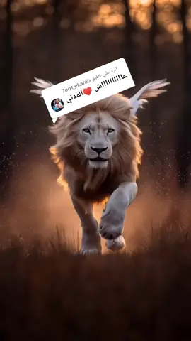 الرد على @7oot_el.arab @⛧°。 ⋆༺ حوت 🐳 العرب ༻⋆。 °⛧ @غسان⚔️ فارس جيش حوت العرب 🇱🇧 @Malak فارسه جيش حوت العرب🐬 #سعوديه🇸🇦يمن🇾🇪بحرين🇧🇭قطر🇶🇦مغرب🇲🇦سوريا🇸🇾 #قوتنا_حيتانيه🐳 #الشعب_الصيني_ماله_حل😂✌️ #حوت #المغرب🇲🇦تونس🇹🇳الجزائر🇩🇿 #قوتنا #الكويت_مصر_السعودية_سوريا_الامارت #مشاهير_تيك_توك_مشاهير_العرب #الشعب_الصيني_ماله_حل😂😂 