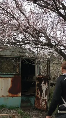 Turning an Abandoned Bus #build #bushcraft #fyp #outdoor #wildernesscrafters #shelter
