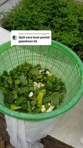 Membalas @mama.angga49dilihat sampek habis cara buat adonan pentol ghepeknya #pentolghepekambunten #sambeltepung 