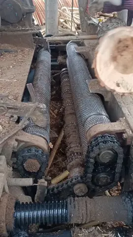 #onthisday this is how toothpicks are made