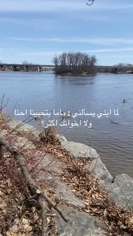 #اكسبلورexplore #ترند_تيك_توك #Canada #الشعب_الصيني_ماله_حل😂😂 #kuwait #ksa🇸🇦 #montreal #jordan 