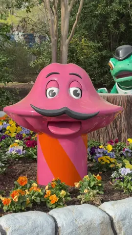 We mustache〰️ you a question; have you heard the Singing🍄Mushrooms all-new music? They put on a wonderful show in Candy Apple Grove!