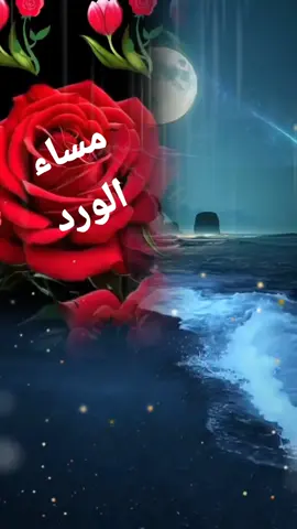 #creatorserchinsights #مساء_الخير #مساء_الورد #مساؤكم_سعادة_تغمر_قلوبكم🌹 #مساؤكم_مليئ_ود_ومحبة 🌺🌹🌺🌹🌺🌹❤️❤️❤️