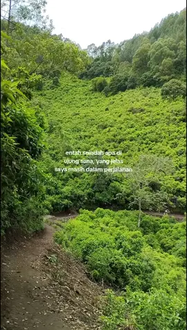 #foryou #foryoupage #fyp #gunungbokong1746mdpl 