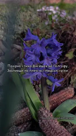 Покірно і тихо Він Йшов на Голгофу. Автор Наталія Паснак #пасха #великдень #христос #god #поезія #poem 
