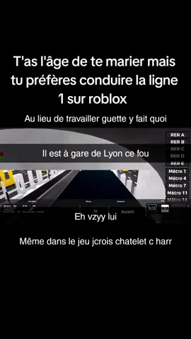 aberrant #roblox #metro #humour 