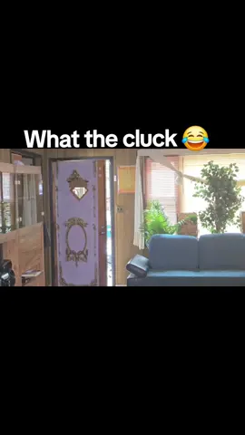 What the cluck 