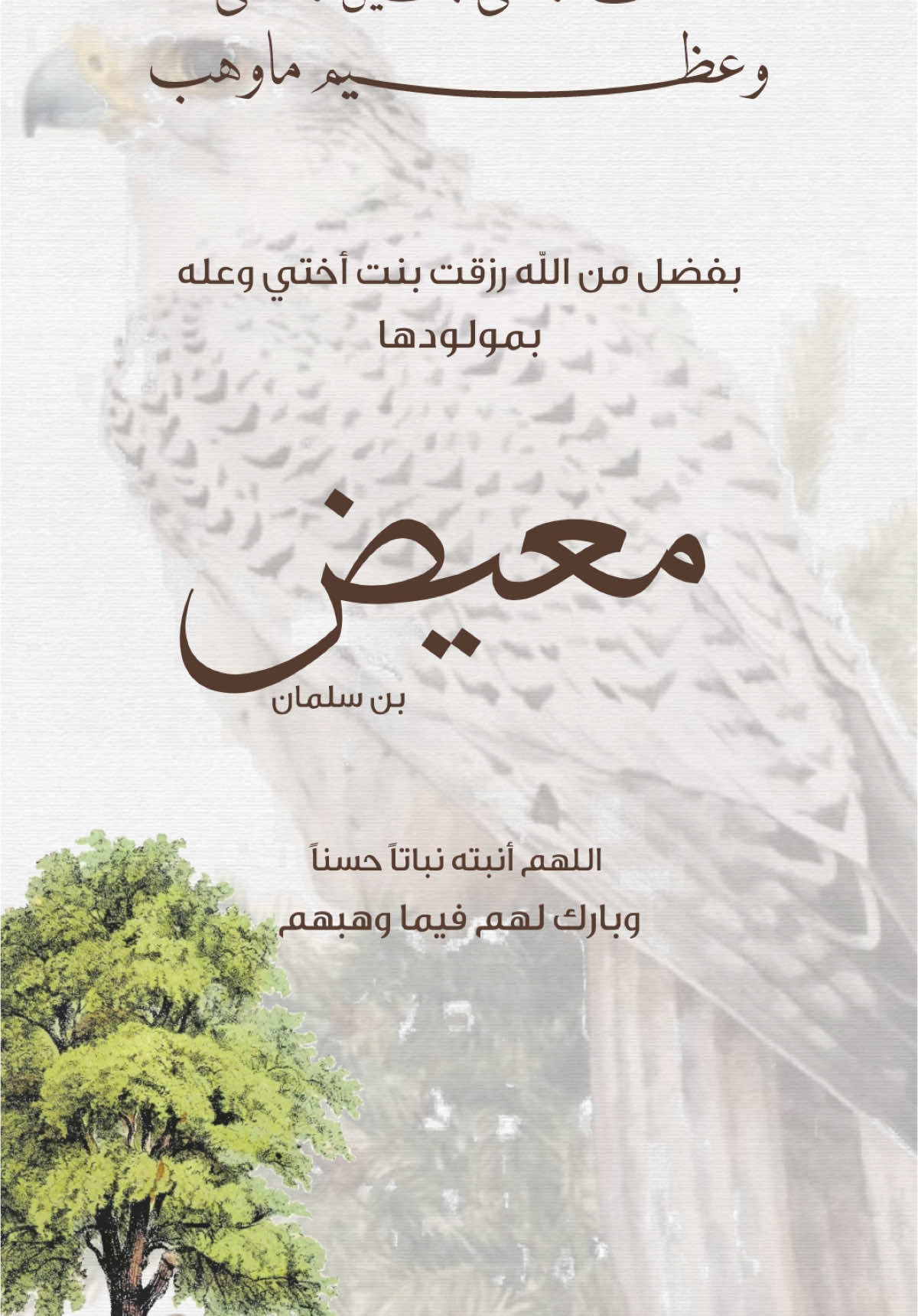 #مولود #تصميم #دعوات_الكترونيه #بسعر_رمزي #تصميم_فيديوهات🎶🎤🎬 #بشارة #حفيدي #دعوات #تهنئة #foryou #اكسبلورexplore #اكسبلور #اكسبلور_تيك_توك #tiktok 