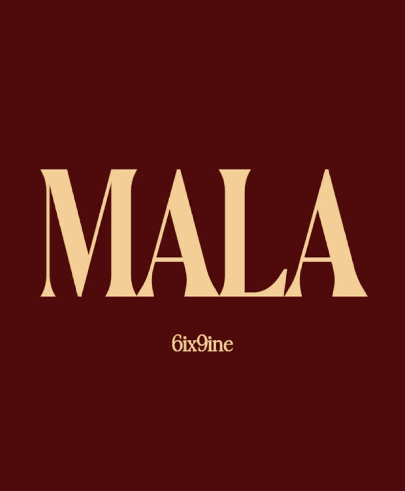 Mala >> #foryoupage #musicvibes #lyrics 