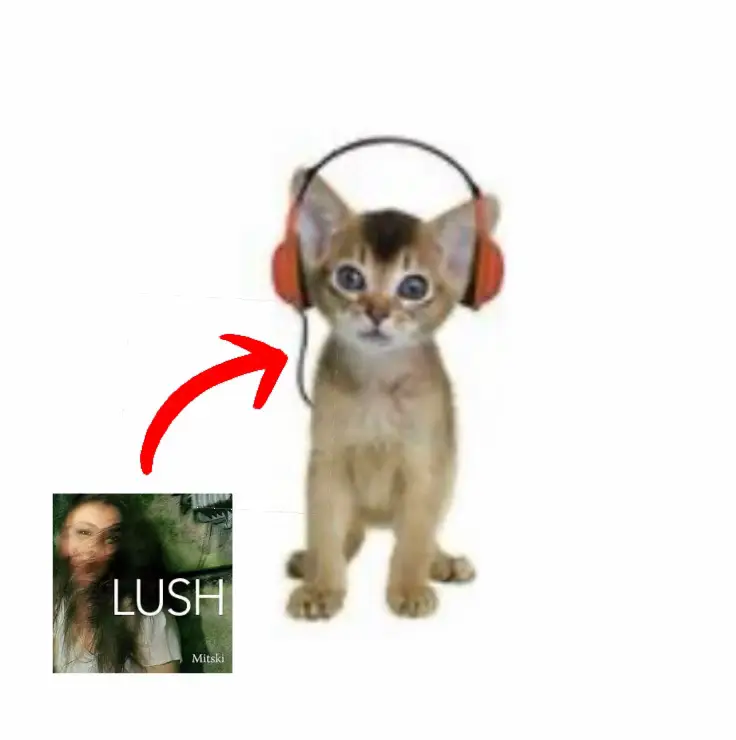 omggg me #cat #cute #album #underrated #headphones #fyp #mitski #song #singing #music 