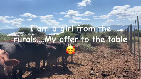 Easter weekend🥰🥰🥰🥰#farmlife #villagelife #mpumalangatiktoker #limpopotiktok #bushbuckridgetiktoker #Westernmahlanyeni 