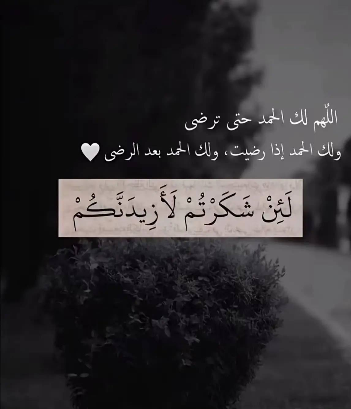 #سبحان_الله_وبحمده_سبحان_الله_العظيم #الشرقيه_الخبر_الدمام_البحرين #foryou 