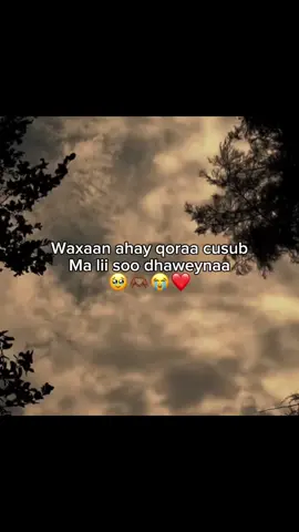 parti 191 || love saar 💕  #qoraal 