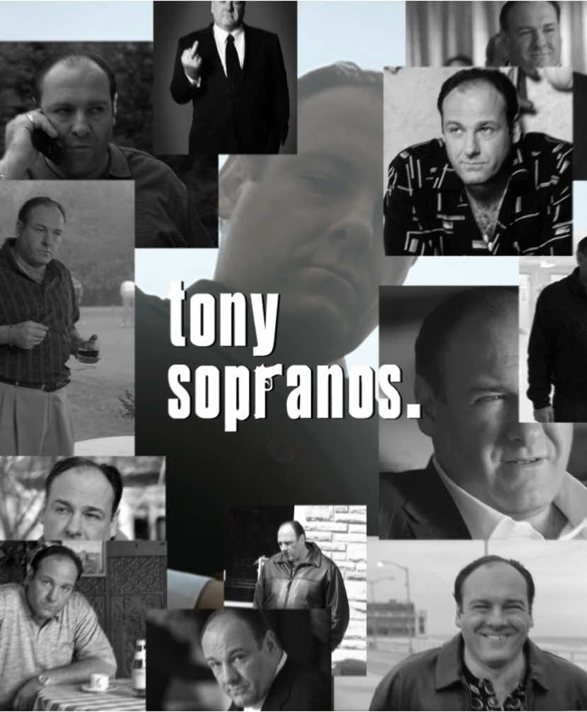 Tony soprano || #thesopranos #tonysoprano #jamesgandolfini #fyp #viral 