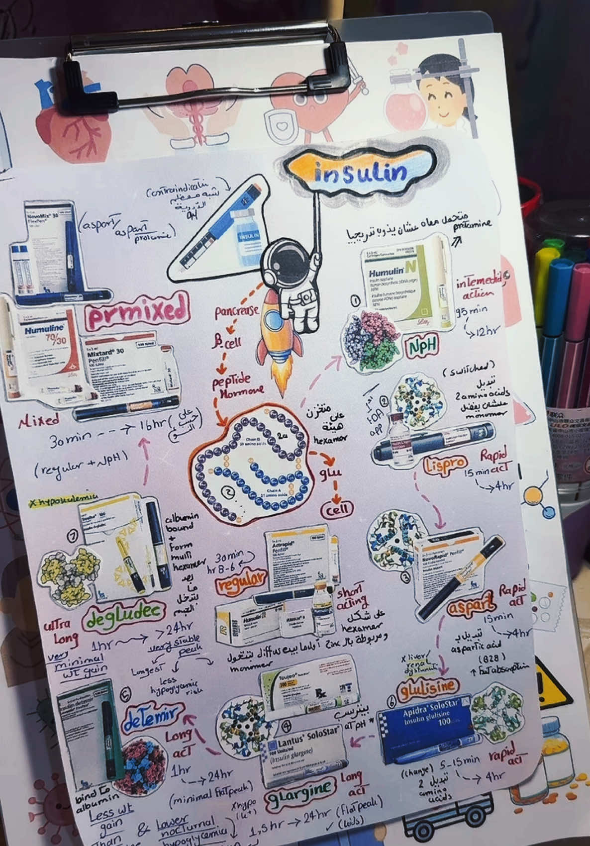 Insulin الفرق بين حقن الإنسولين وليه مينفعش نطلع بدايل ليها📍🗒️💊🌱#medicina #مصر #med #طبيب_تيك_توك #fffffffffffyyyyyyyyyyypppppppppppp #امتحانات #foryoupage #اكسبلورexplore #studentlife #studytok #LearnOnTikTok #studywithme #foryoupage  #diabetes #studytok #student 