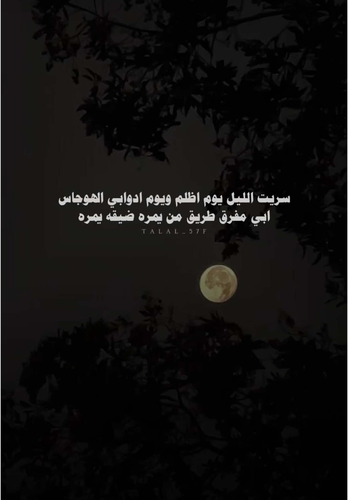 سريت الليل يوم اظلم ويوم ادوابي الهوجاس #خالد_ال_بريك #محمد_النخيش #بدون_موسيقى #اكسبلور #شعر #شيلات #fyp #explore 