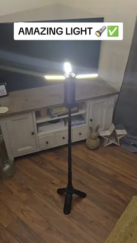 This LED multi functioning light is the most practical work light I have ever had.  #led #ledlights #lights #lighting #shed #garage #camping #fishing #fishinglife #trades 