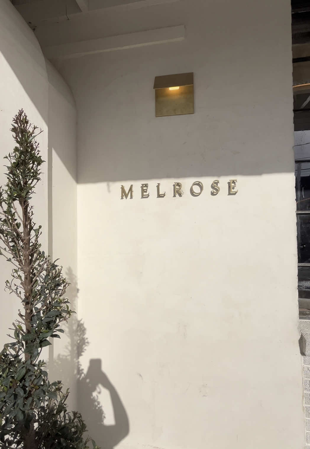 Patio happy hour all year 🍸✨  • • • #melrose #happyhourhouston #thingstodoinhouston #melrosehtx #patioseason #springtok #cocktails #downtownhouston #midtown#montrose #trending #trendingsound #fyp #springfashion #htx #htxfoodie #springvibes #springnails #happyhour #houstontx #houstonbar 