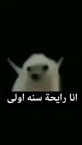 #سيناكولا #fyp #foryou #foryoupage #fyppppppppppppppppppppppp #fy 