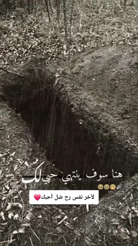 #عبارات 