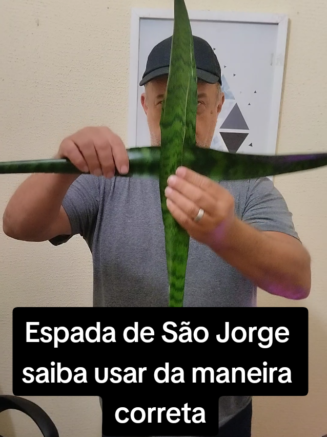 Espada de São Jorge,planta de defesa guerreira.Saiba usar ela da forma correta. #saojorge #espadasaojorge #planta #umbanda #quimbanda #candoble #ocultismo #desperte #despertar #despertardeconciencia 