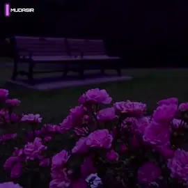 🥹💗✨ #foryoupage #poetry #govairalvideo💕 #vairalvideo #whatsapp_status #unfreezemyacount #viewsproblem😭 #foryoupage #hardediting 