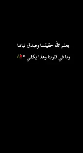 #مصطفى #الربيعي #مصطفى_الربيعي #كثروا #ملاليح #السفينه #اكسبلورexplore #الشعب_الصيني_ماله_حل😂😂 #مابيه_حيل_اخلي_هاشتاكات #❤️ #❤️❤️❤️ 