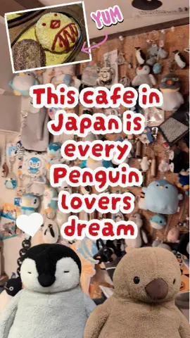 Finally getting around to editing Japan videos. I have a whole series of Penguin themed things to show and first up is this cafe in Nagoya!  This place has more penguin themed things than me so I definitely have to up my game. @pgcafe_osu ✨🫶 🐧 🐧 🐧 🐧 #penguin #penguinplush #nagoya #japan #kawaii #japantravel 