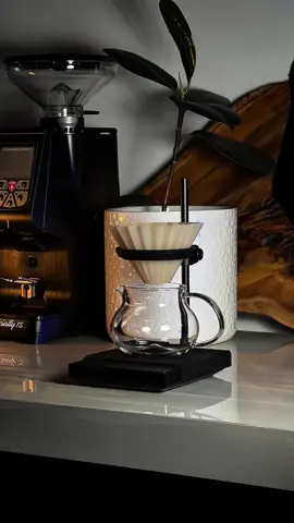 ‏يؤنِسنا كُوب قَهوة🤎.  #explore #viral #4u #coffee #ركن_القهوة #v60 #v60_coffee #v60coffee #your_coffee #اليسا #لو_تعرفوا #ترند #فلوقات_تيك_توك #fypシ゚ #موسيقى #ميوزكلي #ادوات #حار #وصفة ايس درب حار #foryou #اكسبلور #اكسب #اكسبلورexplore #حركة_إكسبلور #اليسا_ملكة_الاحساس #اليسا #foryoupage #viraltiktok 