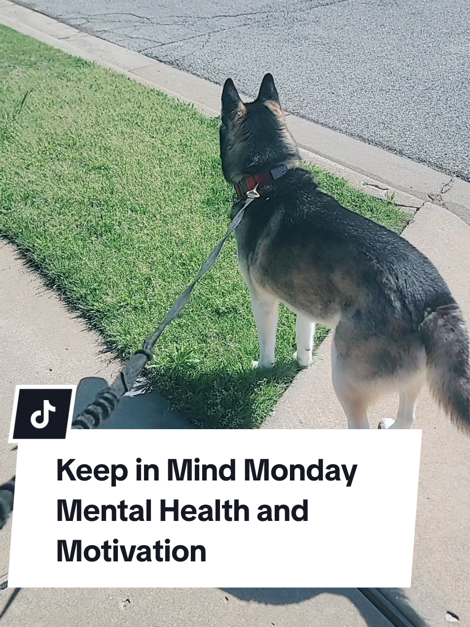 Trying to get back slowly to incorporating the motivation for fitness again. 💪 🥰 😀 We used to be so good at incorporating fitness, life got hectic and busy, things happen, but there is always a way to get back at it if you put your mind to it, so we are going to start simply by doing extra walks, changing diet, then eventually im going to add back fitness classes, Lets go! #fitnessmotivation #Fitness #workout #fitnessgoals #healthylifestyle #lifestylevlog  #fitnessjourney #walking #walk #dogmom #keepinmindmonday 