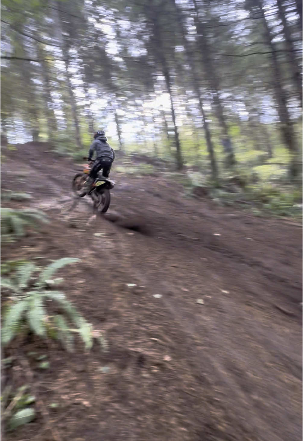 This song hits #pnw #mountains #foryoupage #fyp #fypシ #husqvarna #ktm #husky #te300 #enduro #dirtbike #trail #ktm300 